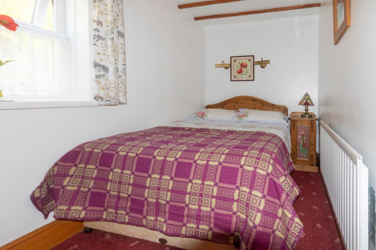 Rosebud Cottage Romantic Cottage For A Couple Fishguard Eksteriør bilde