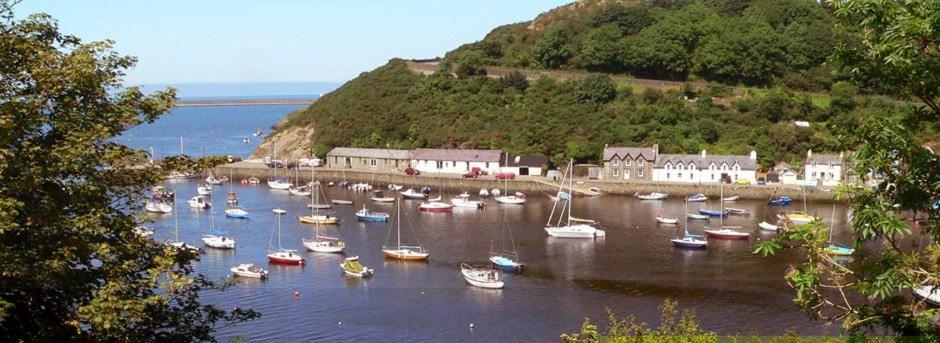 Rosebud Cottage Romantic Cottage For A Couple Fishguard Eksteriør bilde